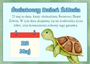 swiatowy-dzien-zolwia-gazetka-szkolna-1